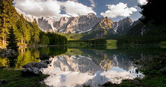 A Villach si parla di lupo, orso, lince e turismo naturalistico