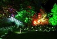 Ad Ampezzo riapre Lumina Milia, il primo giardino botanico esperienziale d’Italia