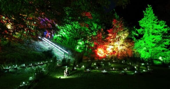 Ad Ampezzo riapre Lumina Milia, il primo giardino botanico esperienziale d’Italia