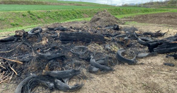 Buja, sorpreso dal Corpo forestale regionale mentre appicca il fuoco