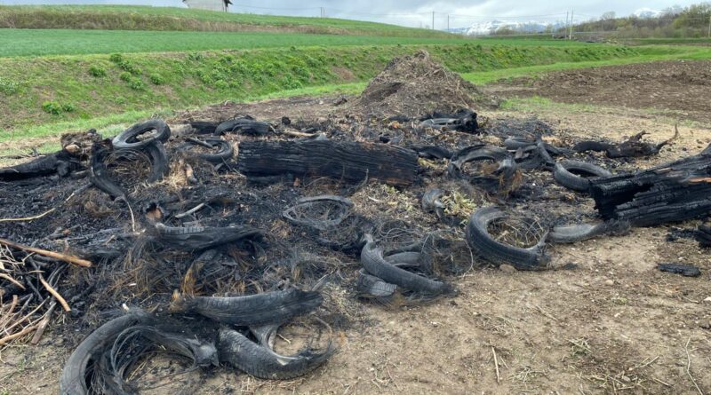 Buja, sorpreso dal Corpo forestale regionale mentre appicca il fuoco