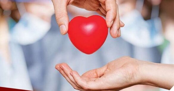 Donazione di organi, a Tolmezzo l’incontro “Il dono non ha età”