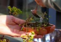 A Fagagna il cortile diventa comunità: al via il laboratorio “A Cielo Aperto”