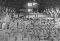 A Villa Santina si ricordano i 120 anni dalla nascita della Cooperativa Carnica