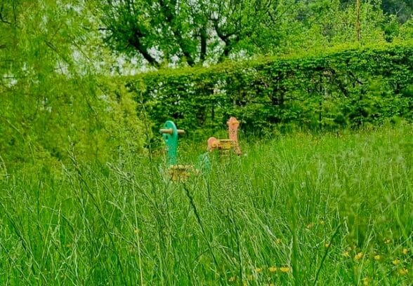 Moser: «Erba alta a Tolmezzo, raggiunti gli 80 cm, in clamoroso ritardo gli sfalci delle aree verdi»