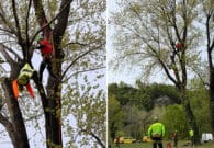A Osoppo le esercitazioni del Soccorso Alpino per il recupero di vele e piloti di volo libero