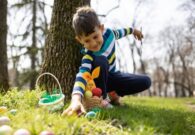 Visit Zoncolan propone caccia alle uova e giochi nei boschi in occasione della Pasqua