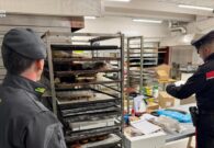 Cibo avariato e topi in magazzino: sequestrata un’attività commerciale a Reana