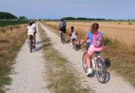 Escursione in bici da Villalta a Rive d’Arcano nella Giornata Europea dei Mulini