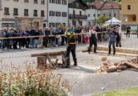 Grande successo a Paularo per l’edizione 2026 di “Foresta in valle”
