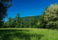 Ripartono da Osoppo le escursioni alla scoperta del bacino idrografico del Ledra