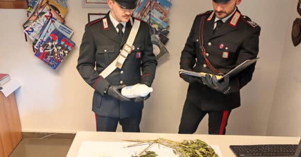 Alloggio Ater trasformato in serra per la marijuana