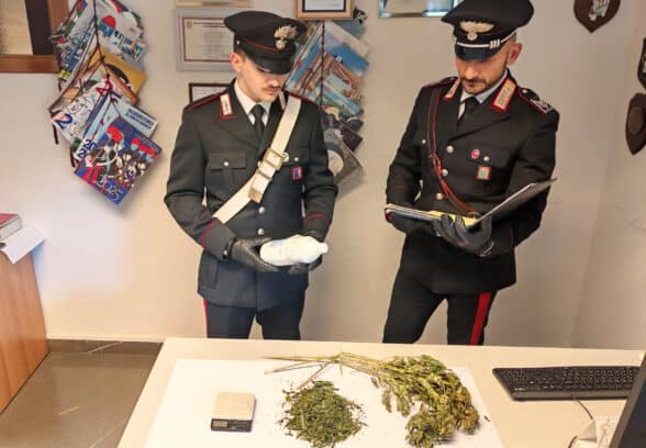 Alloggio Ater trasformato in serra per la marijuana