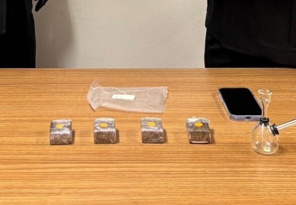I Carabinieri di Forni di Sopra le perquisiscono casa: giovane denunciata per spaccio di droga