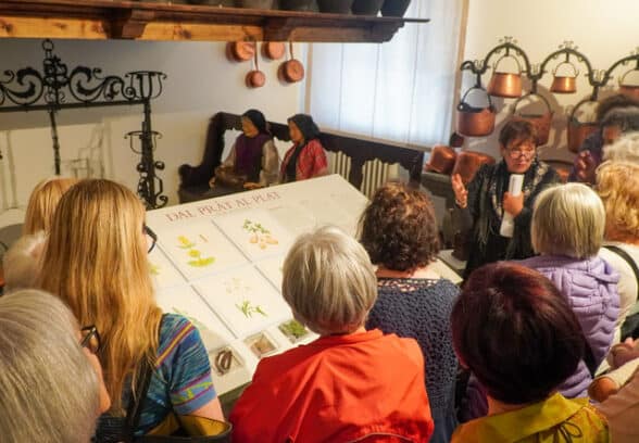 Le tradizioni botaniche della Carnia in mostra: al Museo Gortani apre “Storie di erbe”