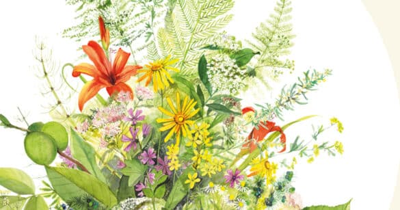 A Tolmezzo un’esperienza immersiva tra natura e arte per scoprire il mondo delle erbe in Carnia