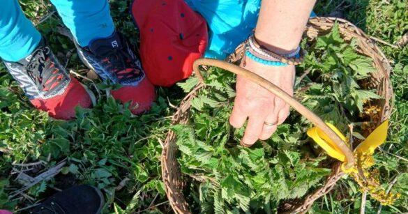 Alla scoperta di profumi e sapori del territorio al Museo “Gortani” di Tolmezzo