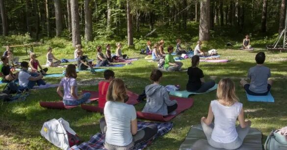 Concerti, attività e natura per tutti a Malborghetto con il Festival di musica nel bosco Risonanze