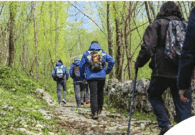 Sicuri in montagna d’estate: escursioni guidate a Moggio Udinese e Clauzetto