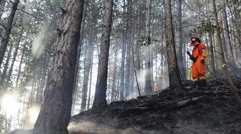 Fulmine innesca un incendio nei boschi di Resia: elicottero in azione con 80 lanci