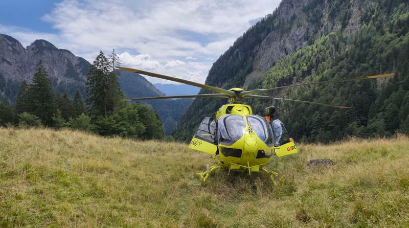 Soccorsi in azione per una donna colta da malore e un gruppo di giovani intimoriti da cani pastore