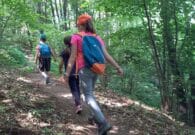“Esplorando” arriva nelle Prealpi Giulie: due appuntamenti per famiglie
