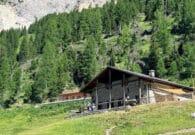 Nuova gestione per Malga Tragonia a Forni di Sopra
