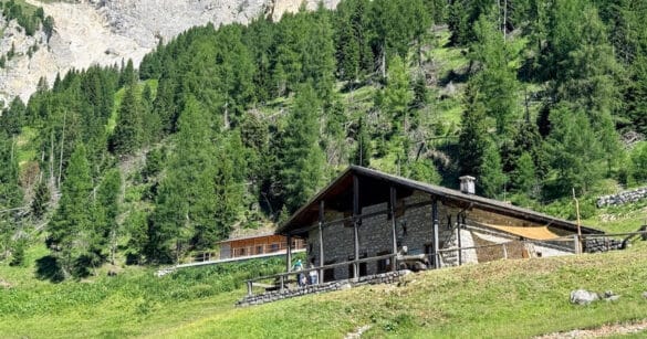 Nuova gestione per Malga Tragonia a Forni di Sopra