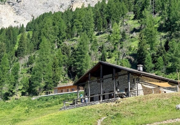 Nuova gestione per Malga Tragonia a Forni di Sopra