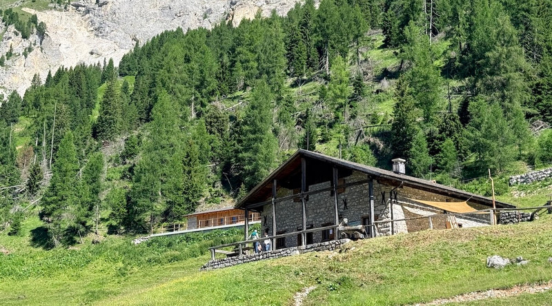 Nuova gestione per Malga Tragonia a Forni di Sopra