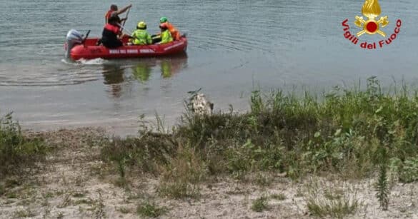 Giovane visto tuffarsi dal ponte sul Tagliamento e non riemergere: ricerche in corso