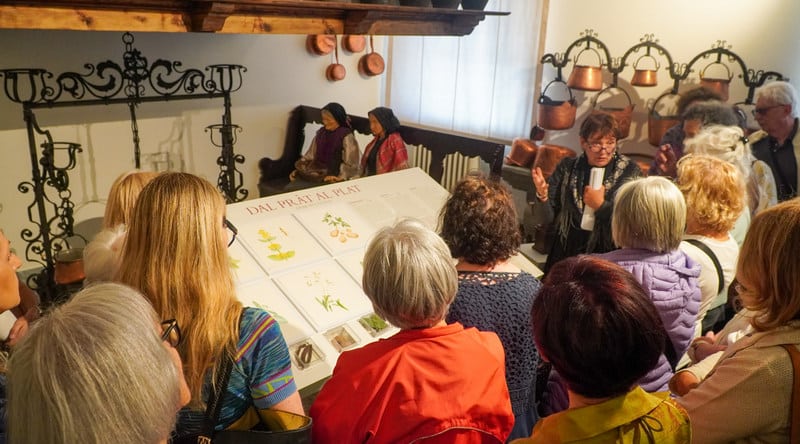 Erbe selvatiche, visite guidate e laboratori: un intenso luglio per il Museo Gortani di Tolmezzo