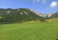 A Verzegnis si apre il XXXVII Agosto Archeologico