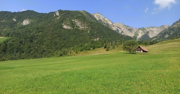 A Verzegnis si apre il XXXVII Agosto Archeologico
