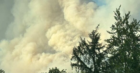 Incendi, nuovi focolai nel Tolmezzino: fa paura il fronte dell’Amariana