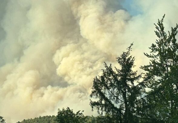 Incendi, nuovi focolai nel Tolmezzino: fa paura il fronte dell’Amariana