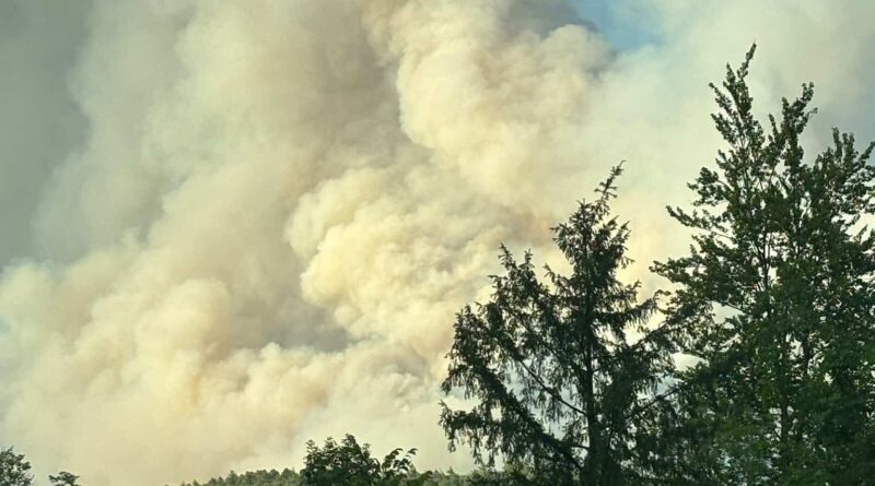 Incendi, nuovi focolai nel Tolmezzino: fa paura il fronte dell’Amariana