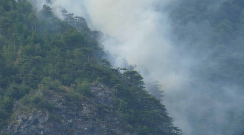 Incendi, nuove fiamme nell’Alto Friuli: riparte il rogo a Illegio, ancora attiva l’Amariana
