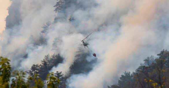 Incendio sull’Amariana, Capozzi e Braidotti: «Ora la sicurezza, poi un confronto serio sulla prevenzione»