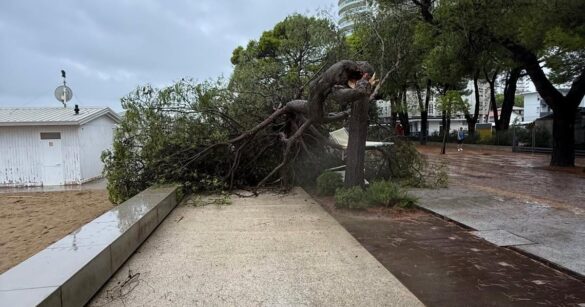 Maltempo sulla costa, raffiche oltre i 100 km/h tra Lignano e Grado