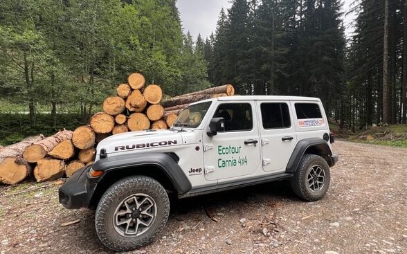 Ecotour Carnia 4×4, già 161 passeggeri alla scoperta delle malghe carniche