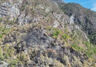 Decretata la fine dello stato di massima pericolosità per gli incendi boschivi in Fvg