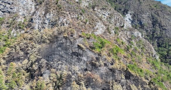 Decretata la fine dello stato di massima pericolosità per gli incendi boschivi in Fvg