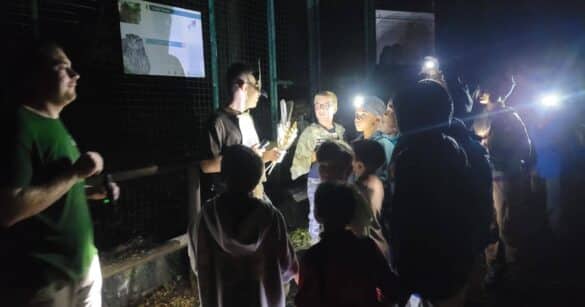 Avventura al buio alla Riserva di Cornino: ritorna la “Notte da gufi” per bambini coraggiosi