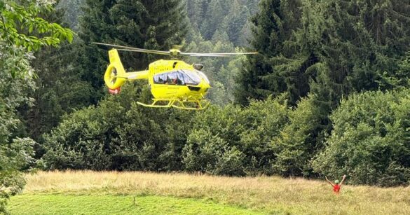 Forni di Sopra: trauma facciale per un uomo dopo essere stato sbalzato dal trattore