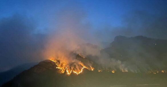 Amariana, la battaglia contro le fiamme riparte all’alba: ancora attivo il vasto incendio