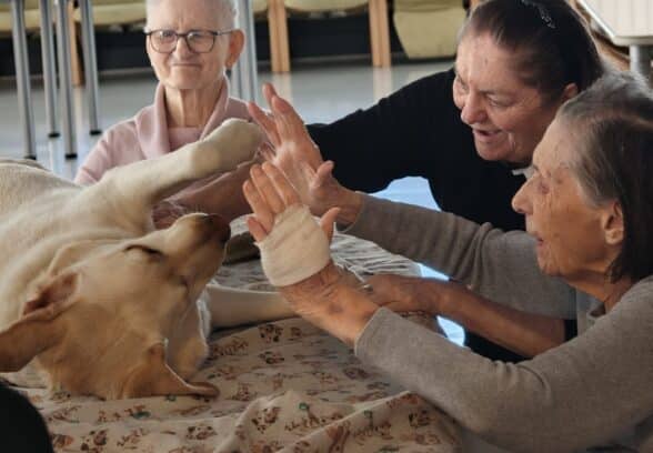 “Un cane per amico”, all’Asp della Carnia la relazione con gli animali diventa benessere