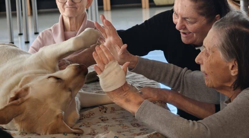 “Un cane per amico”, all’Asp della Carnia la relazione con gli animali diventa benessere