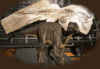 Enemonzo, i dinosauri del Carso chiudono il XXXVII Agosto Archeologico