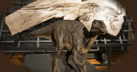 Enemonzo, i dinosauri del Carso chiudono il XXXVII Agosto Archeologico